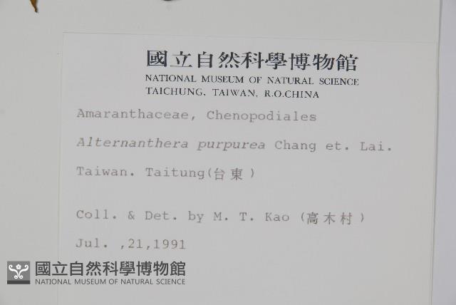 登錄號:S006721藏品圖，第2張