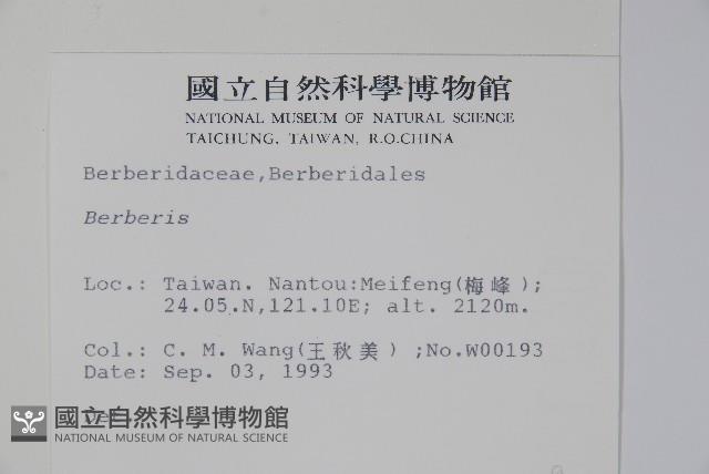 日本小檗藏品圖，第2張