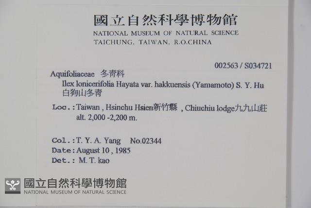 白狗山冬青藏品圖，第2張