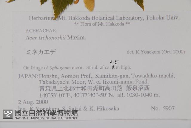 登錄號:S074721藏品圖，第2張