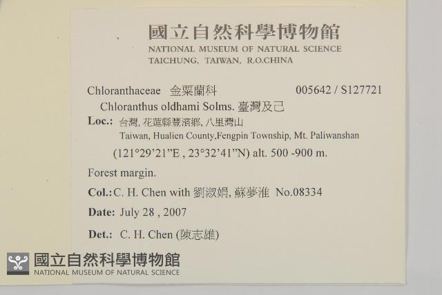 臺灣及己藏品圖，第2張