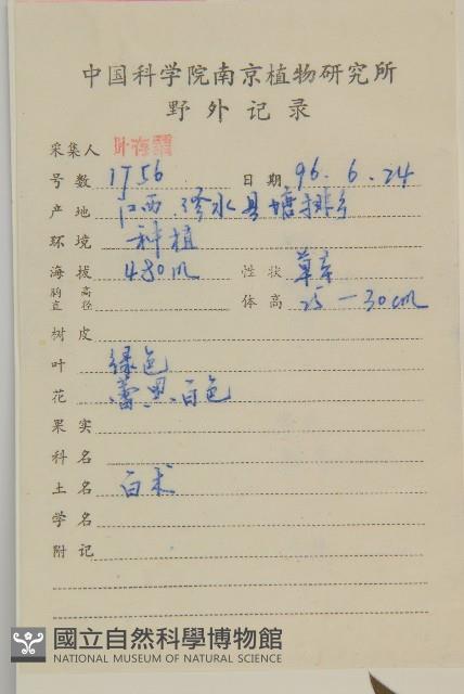 白朮藏品圖，第2張