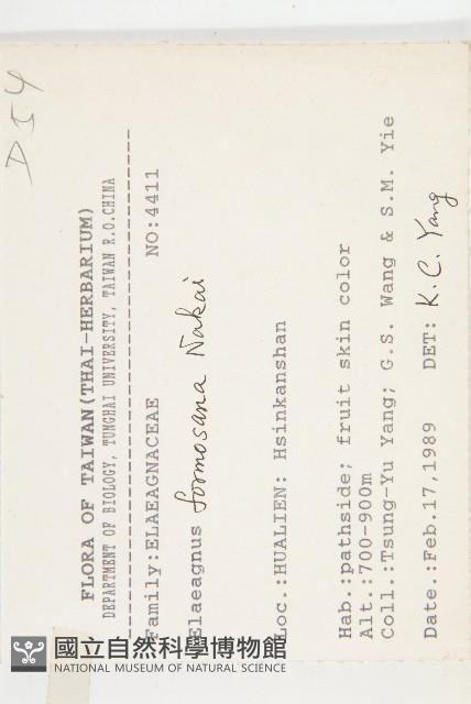 臺灣胡頹子藏品圖，第2張