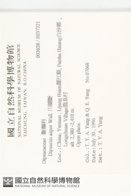 川續斷藏品圖，第2張