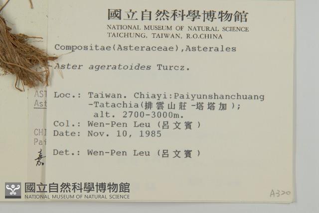 山白蘭藏品圖，第2張