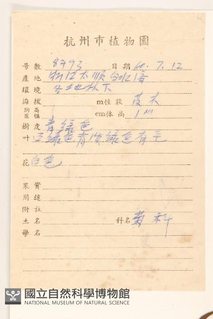 佩蘭、澤蘭藏品圖，第2張