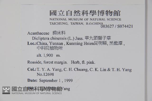 華九頭獅子草藏品圖，第2張