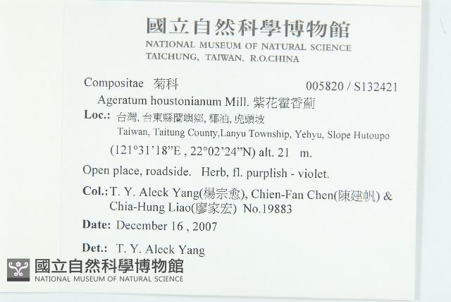 闊葉鴨舌黃舅藏品圖，第2張