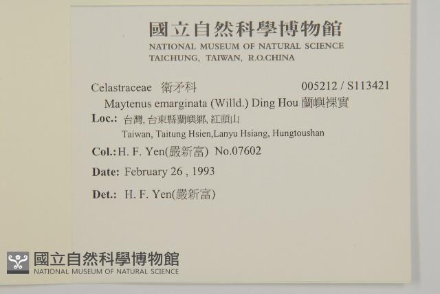 蘭嶼裸實藏品圖，第2張