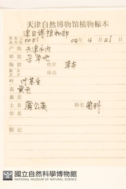 蒲公英藏品圖，第2張