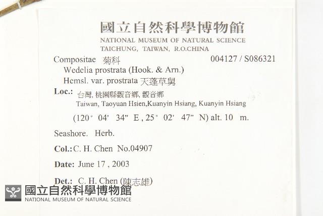 天蓬草舅藏品圖，第2張
