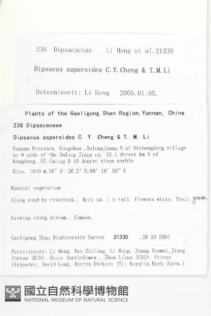 川續斷藏品圖，第2張