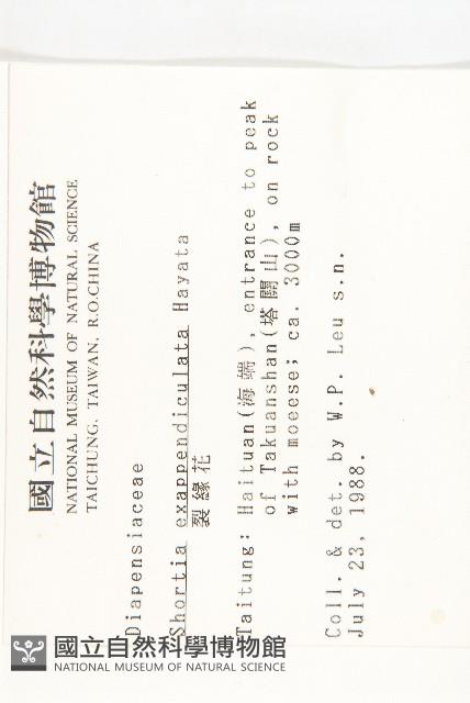 裂緣花藏品圖，第2張