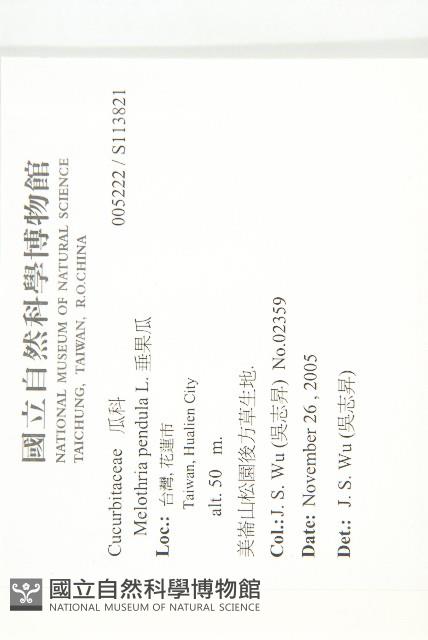 垂果瓜藏品圖，第2張