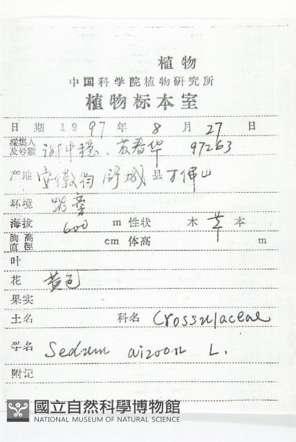 費菜藏品圖，第2張