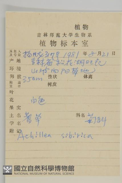 西伯利亞蓍藏品圖，第2張