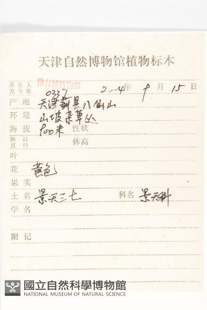 費菜藏品圖，第2張