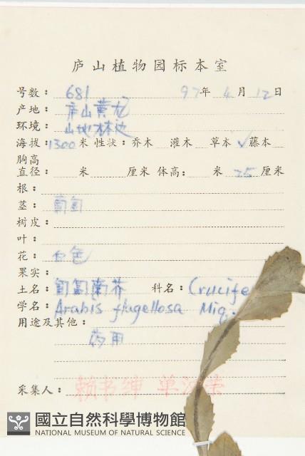 Accession Number:S057921 Collection Image, Figure 5, Total 6 Figures