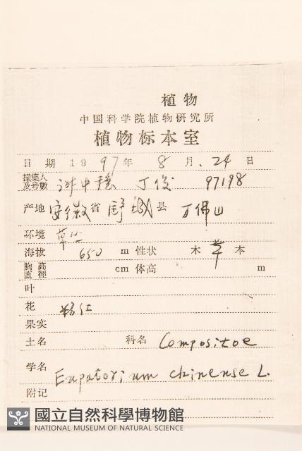 華澤蘭藏品圖，第2張