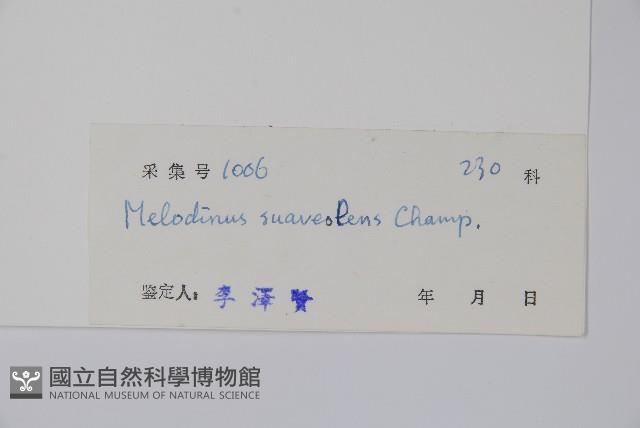 山橙藏品圖，第2張