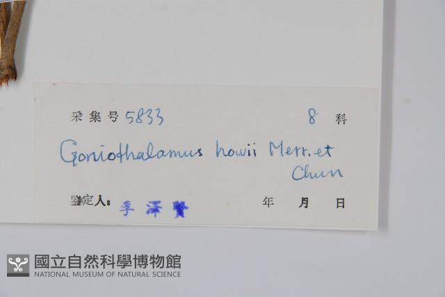 海南哥納香藏品圖，第2張