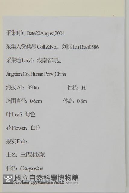 山白蘭藏品圖，第2張