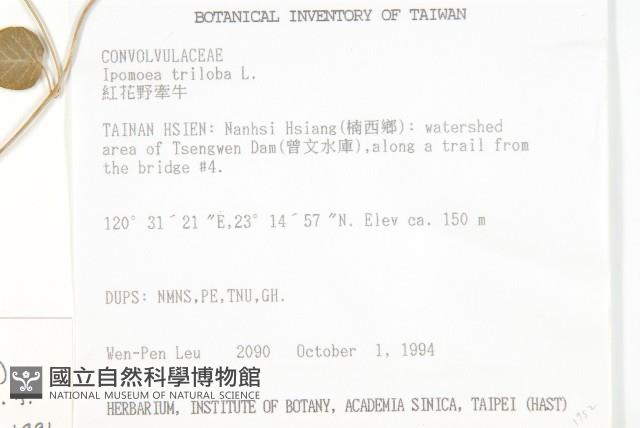 娥房藤藏品圖，第2張