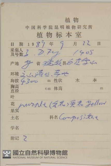 狹苞雲南紫菀藏品圖，第2張