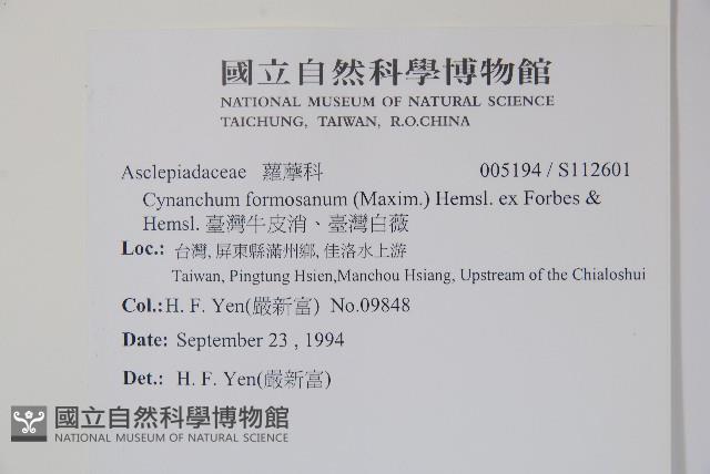 臺灣牛皮消、臺灣白薇藏品圖，第2張