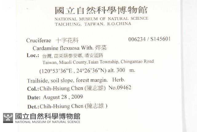 焊菜藏品圖，第2張