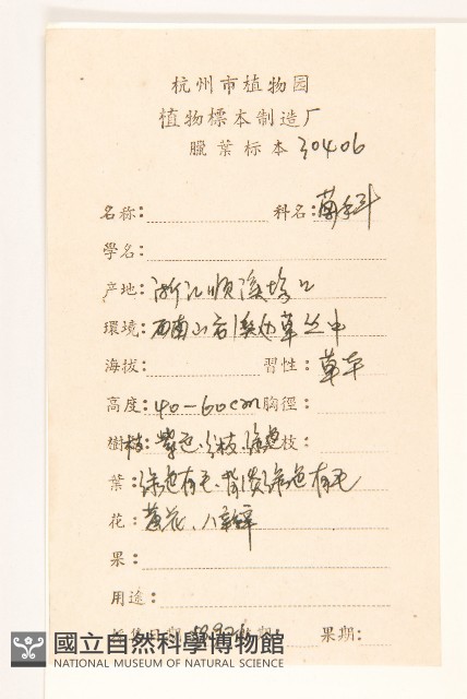 苦實菜藏品圖，第2張