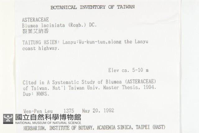 裂葉艾納香藏品圖，第2張