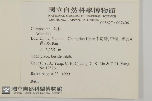 寬葉苔草藏品圖，第2張