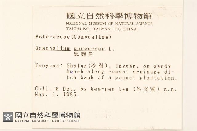 Accession Number:S003601 Collection Image, Figure 2, Total 2 Figures