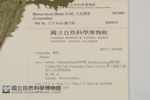 生毛將軍藏品圖，第2張