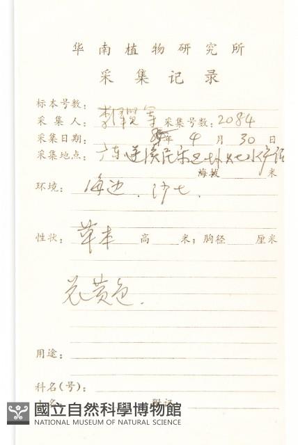 天蓬草舅藏品圖，第2張