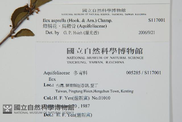 燈稱花、烏雞骨藏品圖，第2張