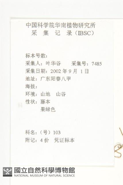 木鱉子藏品圖，第2張