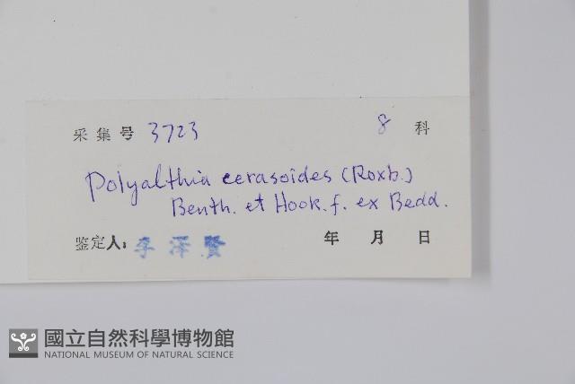 細基丸藏品圖，第2張