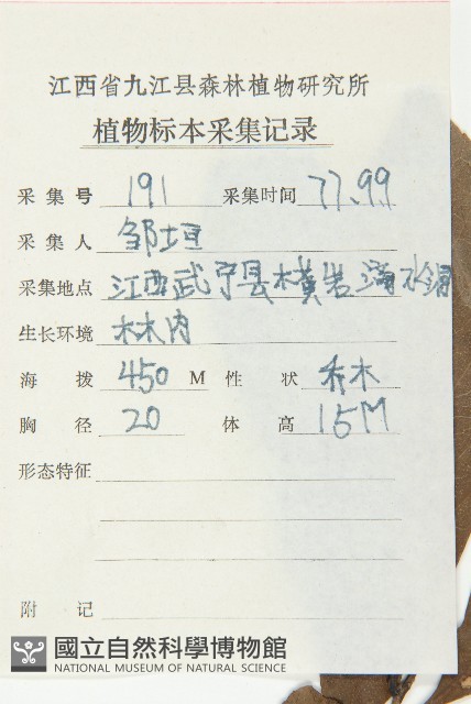 杜英藏品圖，第2張