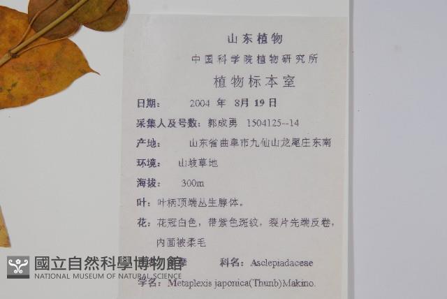 蘿藦藏品圖，第2張