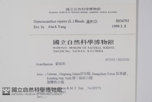 蘆利草藏品圖，第2張