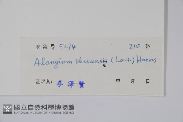 八角楓藏品圖，第2張