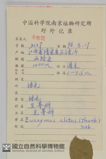 衛矛藏品圖，第2張