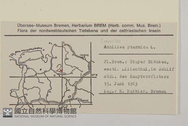 珠蓍藏品圖，第2張