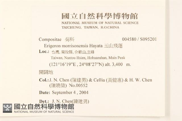 玉山飛蓬藏品圖，第2張