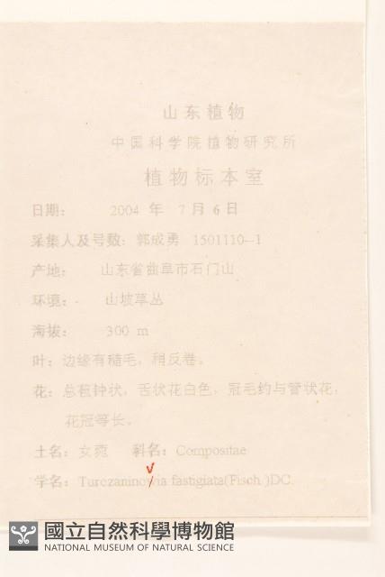 女菀藏品圖，第2張