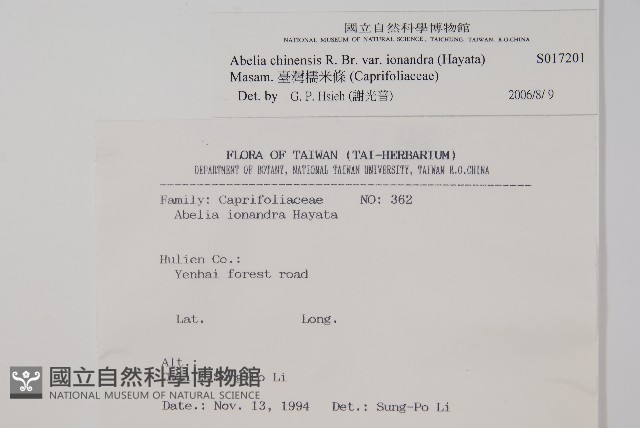 臺灣糯米條藏品圖，第2張