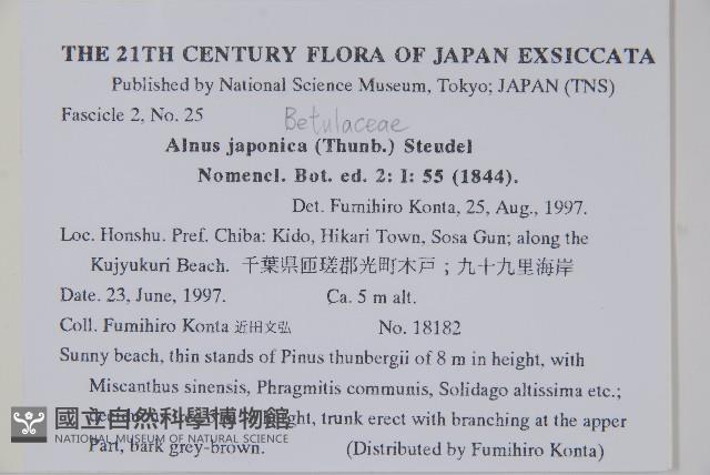 赤楊、臺灣赤楊、台北赤楊、水柯子、水柳柯藏品圖，第2張