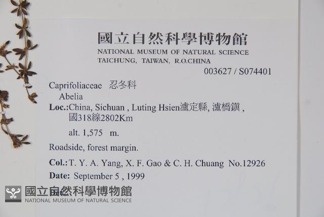 登錄號:S074401藏品圖，第2張